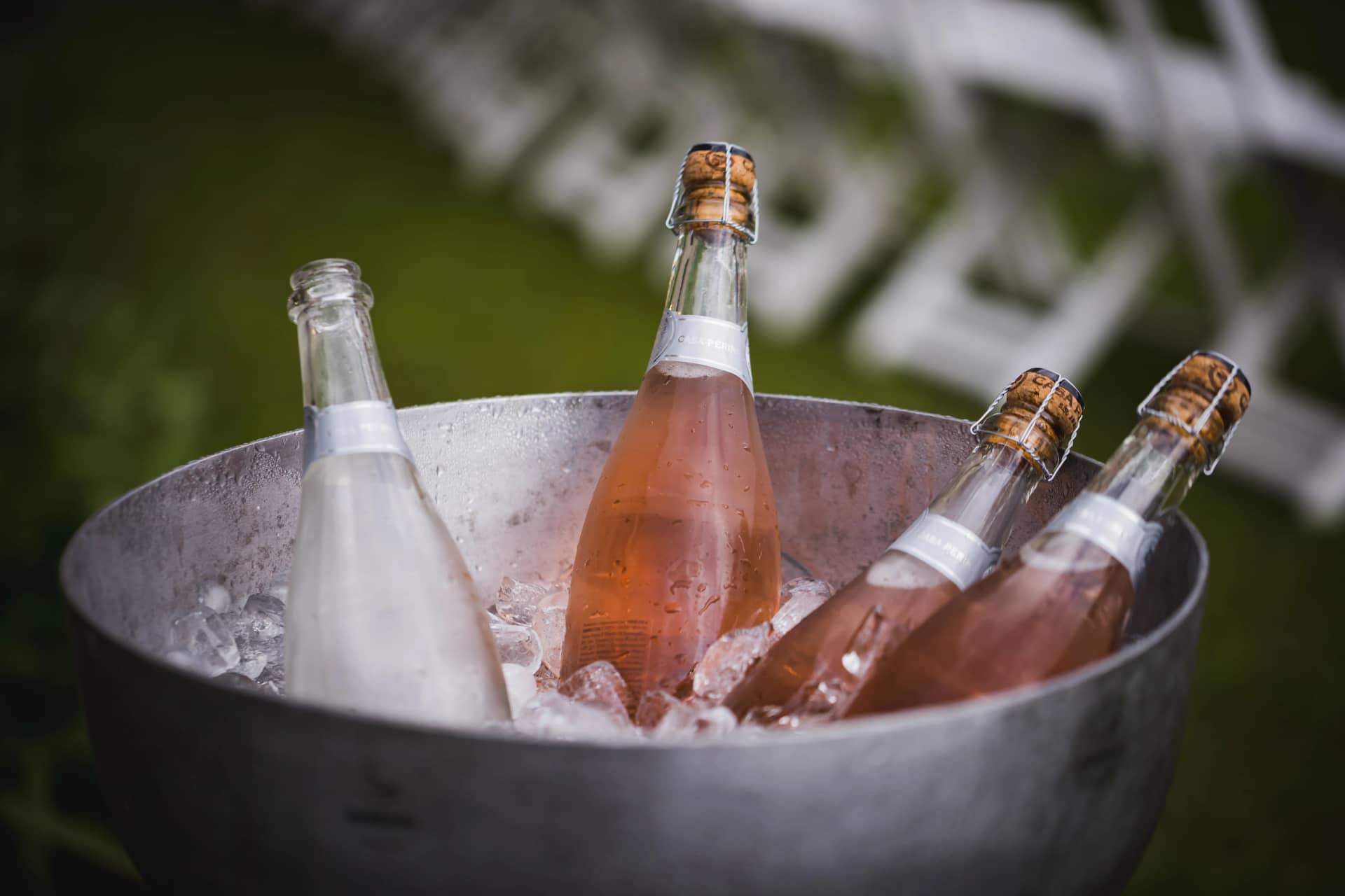 Prosecco Reception - Image 3