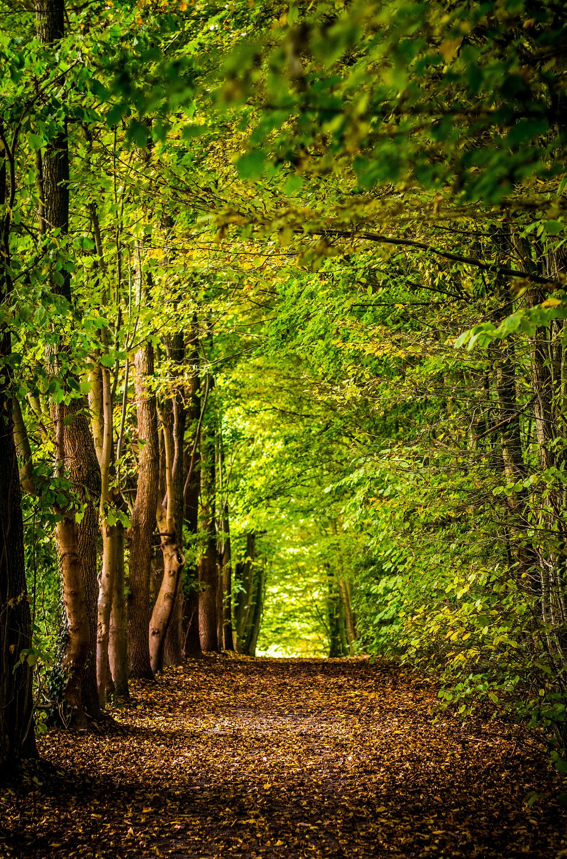 Group houses in Scotland Guide – luxury holiday accommodation