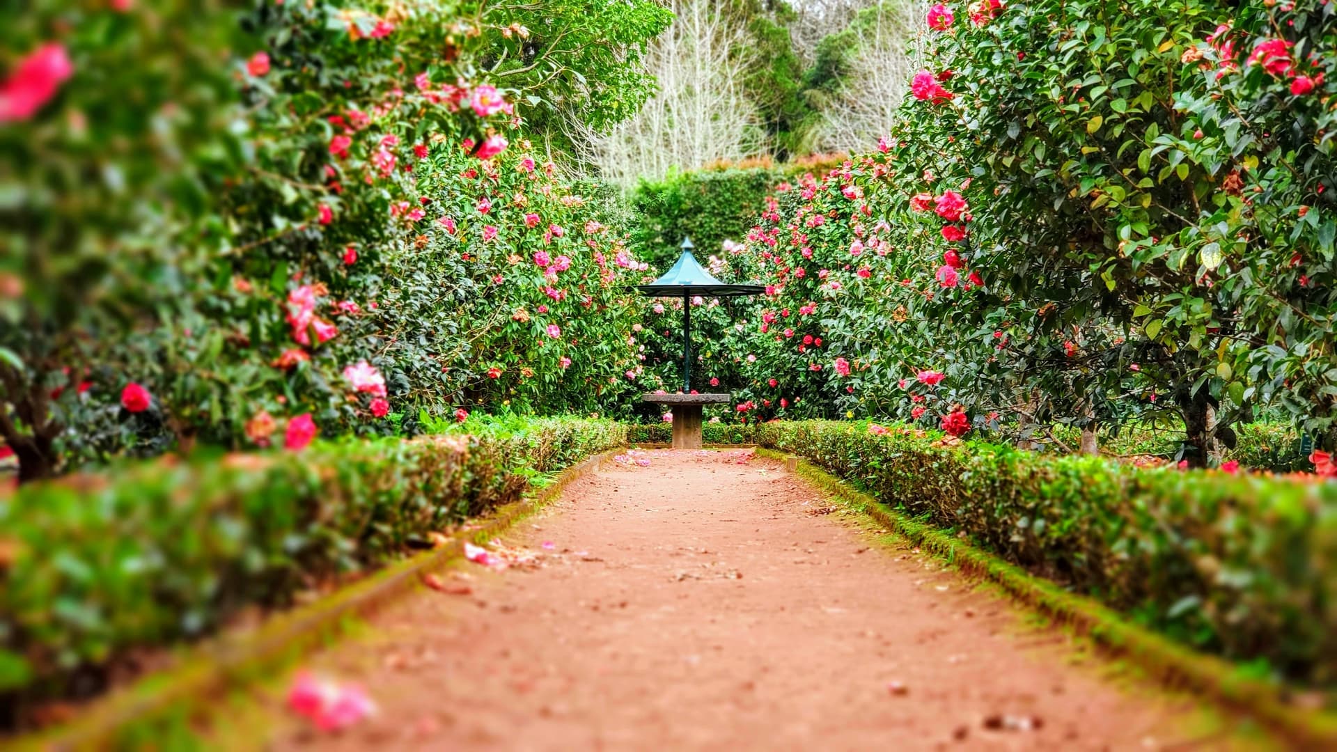 Group Houses with Large Gardens and Outdoor Spaces in the UK