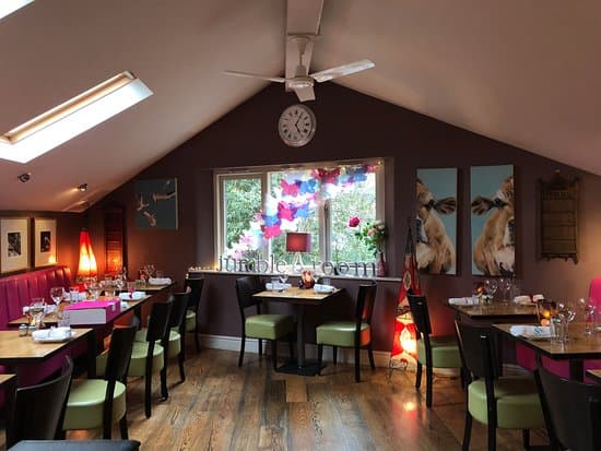 The Jumble Room