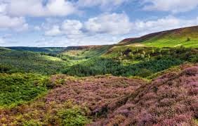 North York Moors