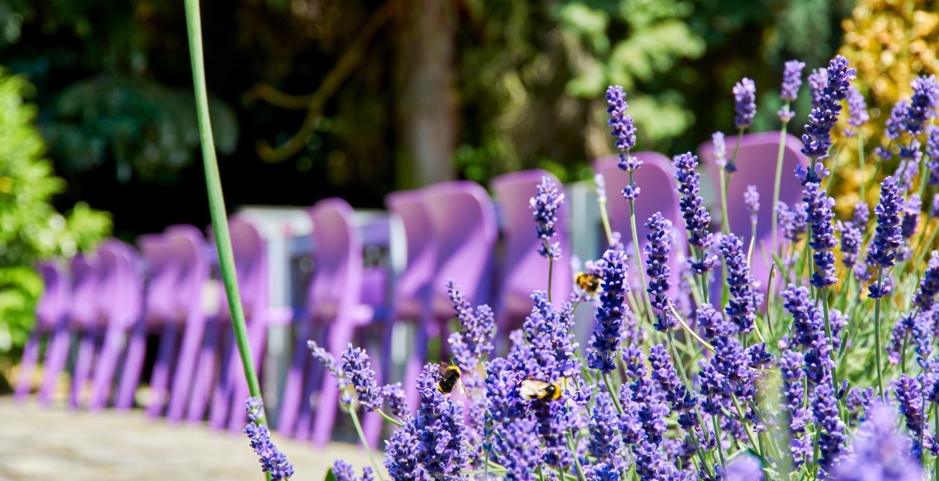 Stretton House — dining room, Stretton