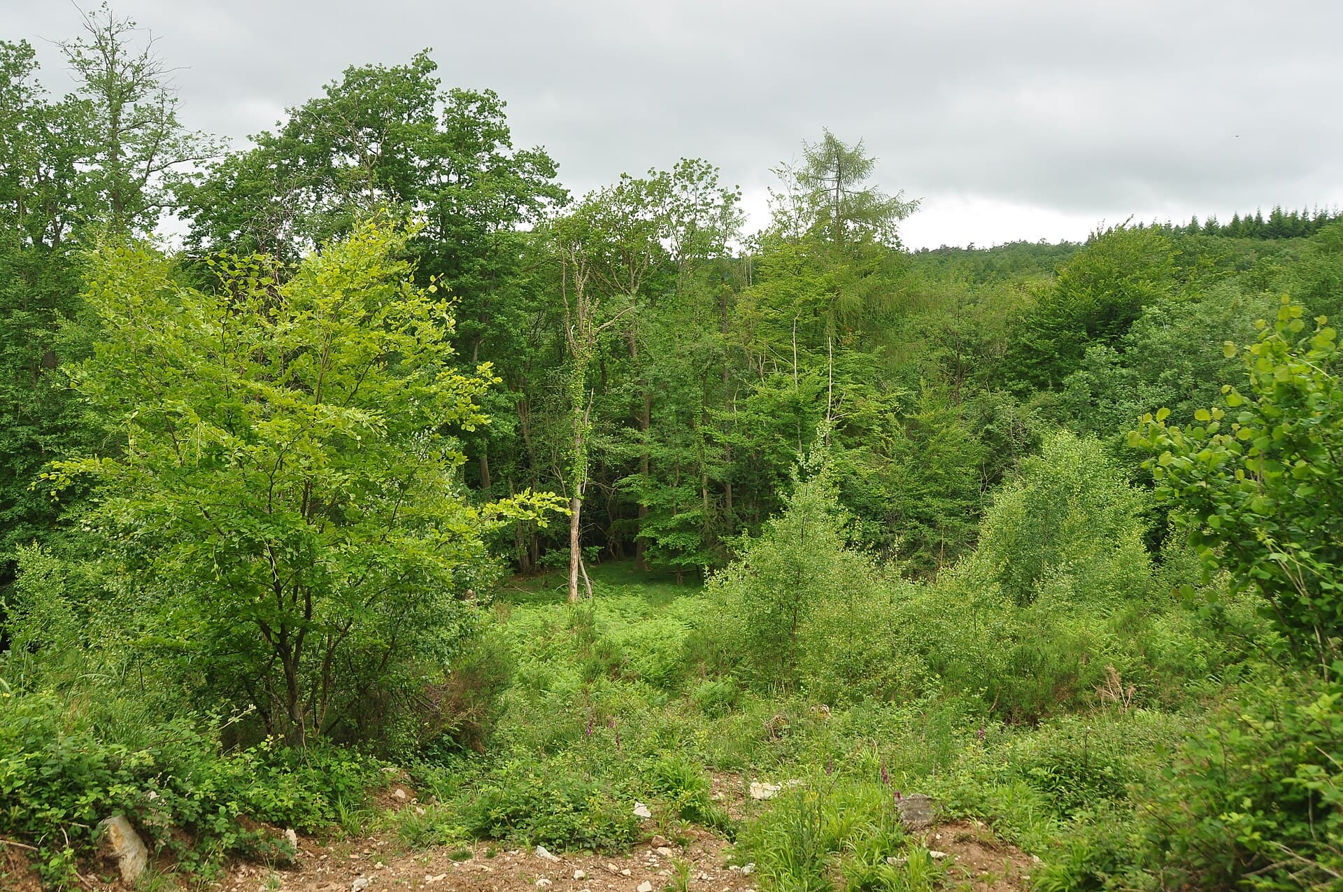 Group houses in Gloucestershire – luxury holiday accommodation